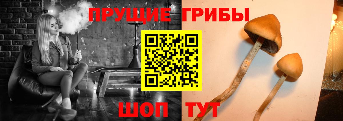 Псилоцибиновые грибы мицелий Каменск-Уральский